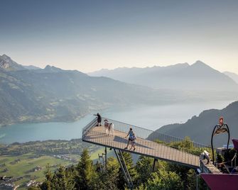 Hotel Alpenblick - Wilderswil
