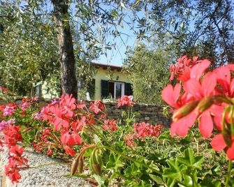 Agriturismo il Grande Ulivo - Santo Stefano al Mare - Außenansicht
