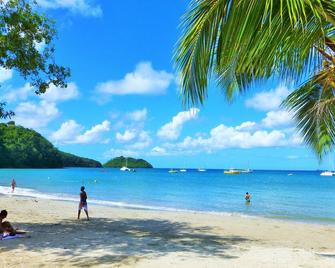 Le Panoramic - Les Trois-Îlets - Beach