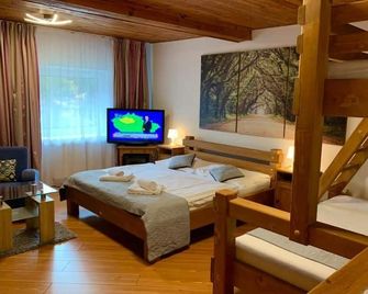 Hotel Lesana - Špindlerův Mlýn - Habitación