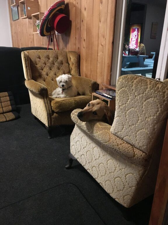 Adventure Inn Marahau - Marahau - סלון