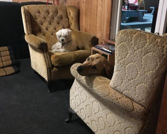 Adventure Inn Marahau - Marahau - סלון