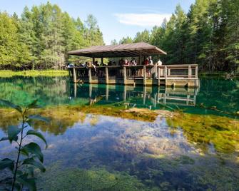 Private riverfront on 5 secluded acres, HIGH SPEED internet, centrally located - Escanaba