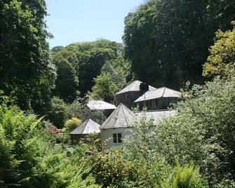 Mill Cottage - Tintagel - Outdoor view