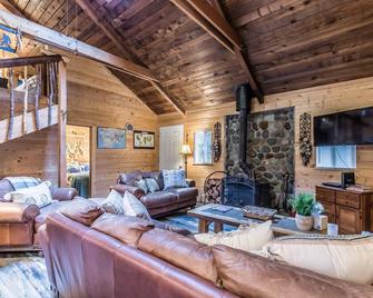 Perch - Chester Cbin: Cozy rustic cabin with hot tub & AC! Pet Friendly - Packwood - Sala de estar