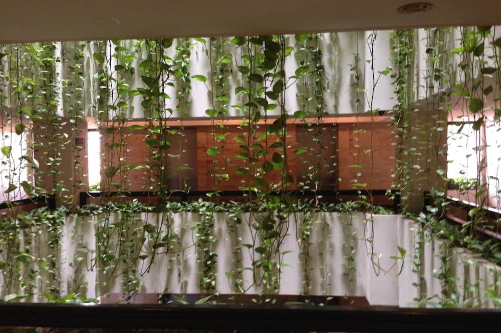 Apart Hotel Toborochi - סנטה קרוס - נוף חיצוני