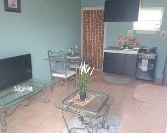 Charming safe 1-bedroom apartment, WiFi, AC in amazing island Curacao Willemstad - Willemstad - Pokój dzienny