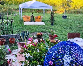 La casa nella vigna [colline del vino] - Capannori - Patio