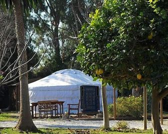 Glamping Spain - Mongolian Yurt - Wooden Chalet - Close To Beach! - Vélez-Málaga - Patio