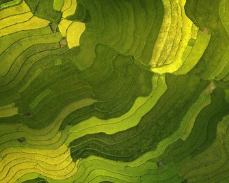 Quiet and cozy ap - Rio de Janeiro