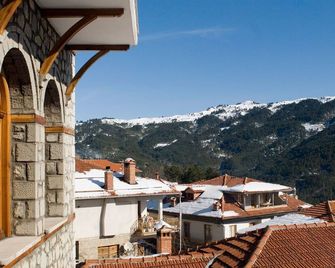 Asteri Metsovo - Metsovo
