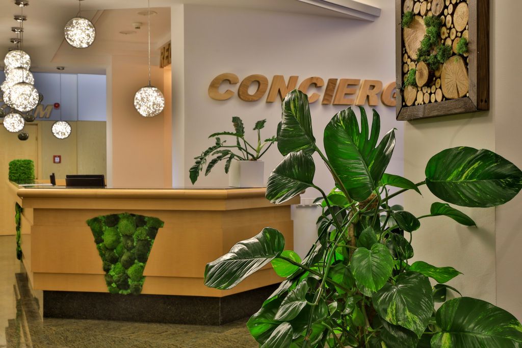 Complex Silva - בוקרשט