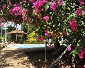 Casa Inti Guesthouse & Lodge - Managua