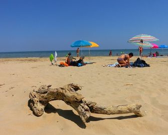 Eco holidays between Sea and Mountains of Abruzzo App. 'LA LUNA' - Castiglione Messer Raimondo - Beach