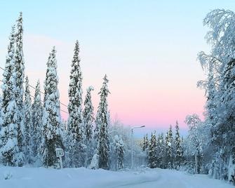 Lapland Snow Cabin - Junosuando - Vista del exterior