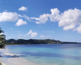 Grand Anse Beach Palace - St. George's - Beach