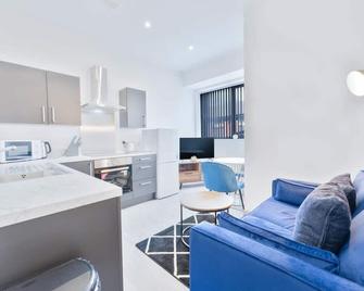 Compact 1 Bed Budget Apartment Dudley - Brierley Hill - Living room
