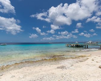 Blachi Koko Apartments - Kralendijk - Playa