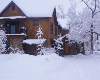 Downtown Carbondale - Walk in and Feel at Home - Carbondale - Building