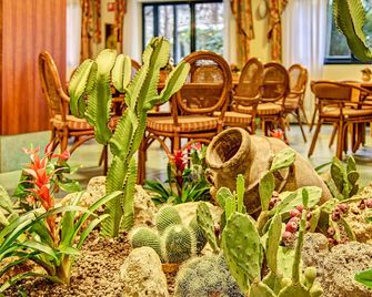 Hotel Caesar Palace - ג'יארדיני נאקסוס