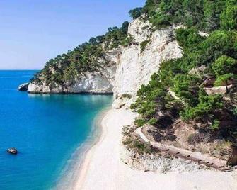 Casa Melograno spacious and modern three-room apartment in olive grove near the sea - Mattinata - Spiaggia