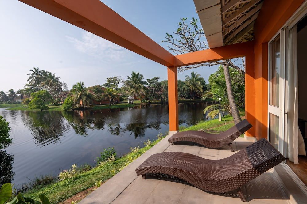 كلوب بالم باي