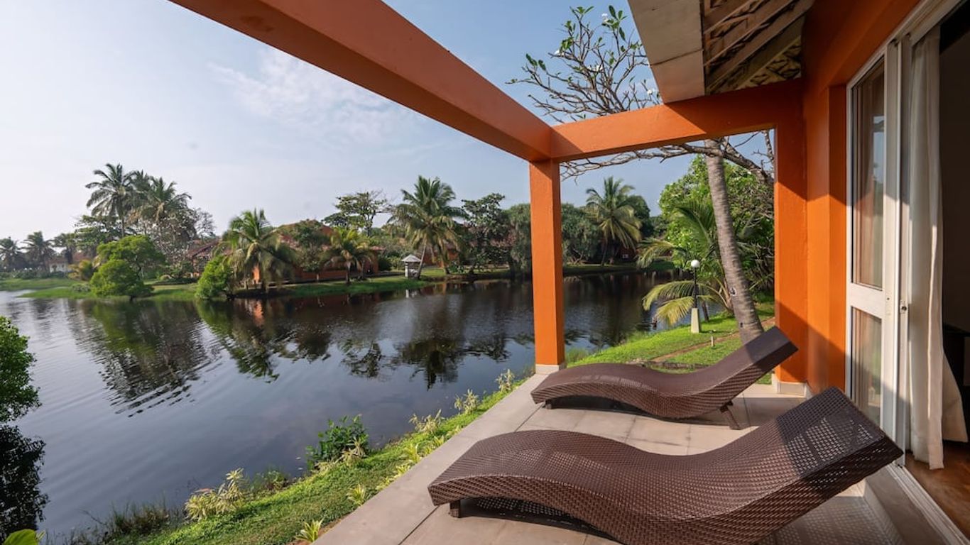 كلوب بالم باي