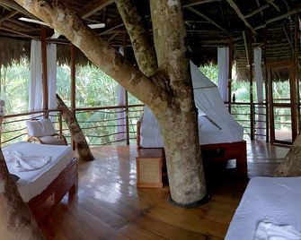 Huge Family-Friendly Tree House in Amazon Rainforest near Iquitos, Peru - Nauta - Spa