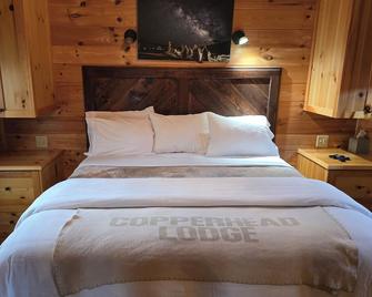 The Copperhead Lodge & Resort - Blairsville - Habitación