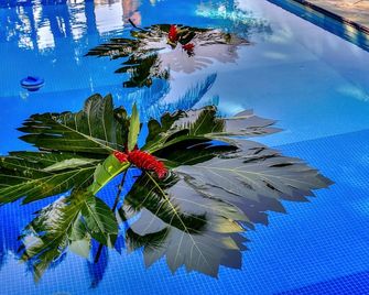 Villa Maria Tayrona, Jungle and Sea Experience - Los Naranjos - Pool