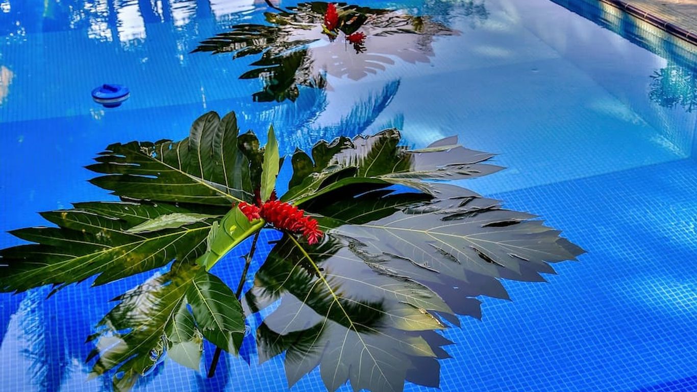 Villa Maria Tayrona, Jungle and Sea Experience