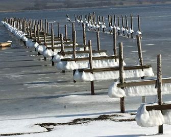 Apartment close to the water in beautiful nature. Good for relaxing in quiet - Hårby - Playa