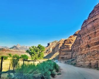 Arrowhead Country Cabins - Mount Carmel - Outdoors view