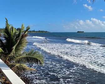 Ahonu Beach Studio - Garden And Sea - Maharepa - Plage