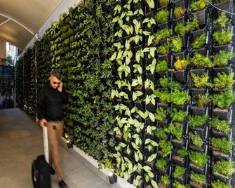 Luxuria Varanasi By Moustache - Varanasi