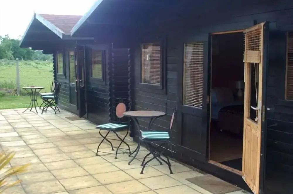 ذا تيبيرتون لايون