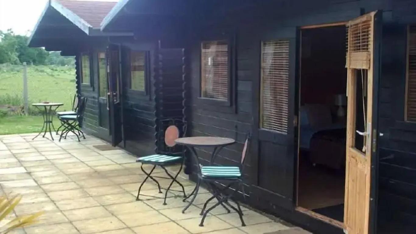 ذا تيبيرتون لايون