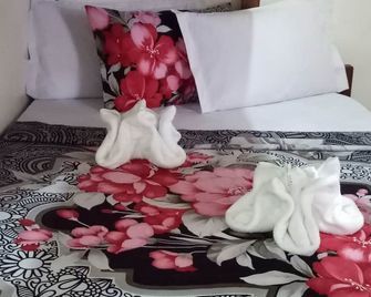 Jvhaven Pension - El Nido - Habitación