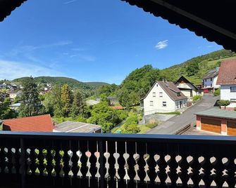 Spessartblick - Heimbuchenthal - Balcony