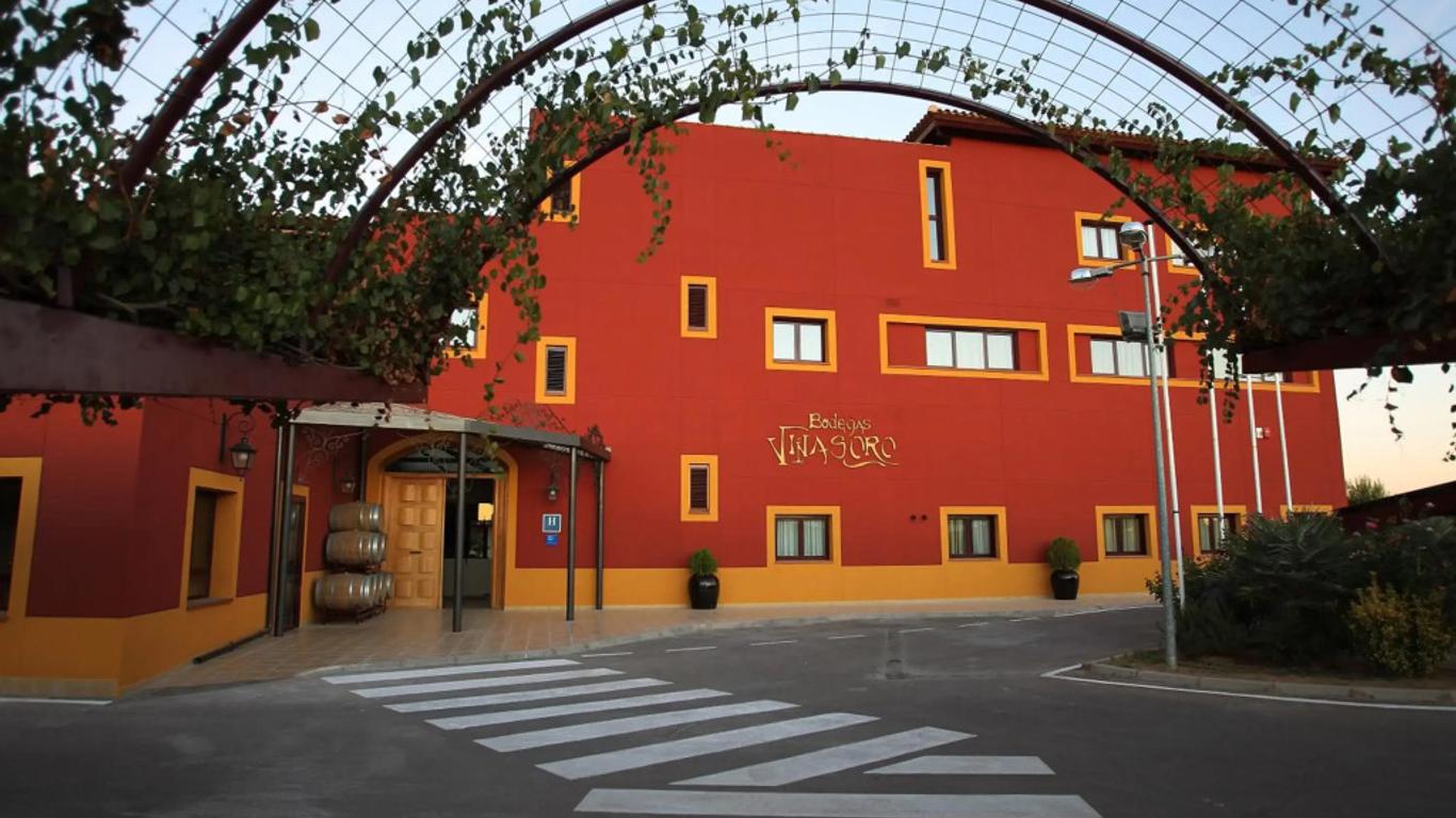 Hotel Château Viñasoro