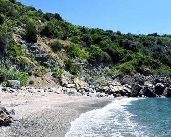 Zeytinada Pansiyon ve Gozleme - Gazipaşa - Beach