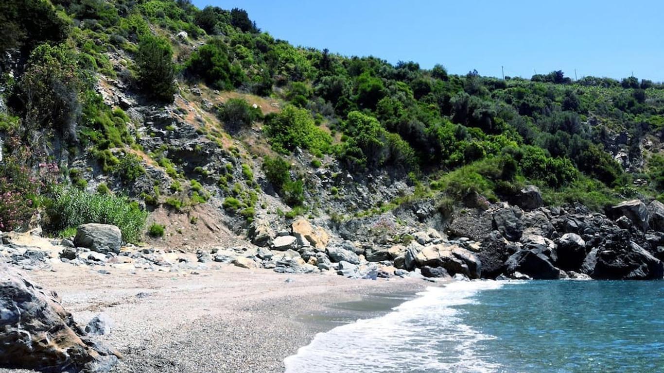 Zeytinada Pansiyon ve Gozleme
