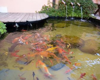 Recanto das Carpas - Ilhabela