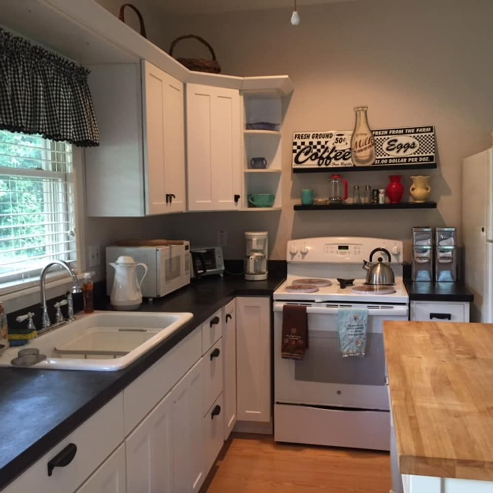 Little Cozy Cottage near Greenbrier (PGA) and Homestead and local Fly fishing - Covington - Kitchen