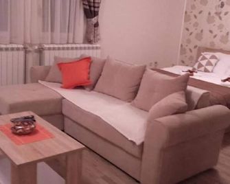 Apartments Snow Queen - Raška - Living room