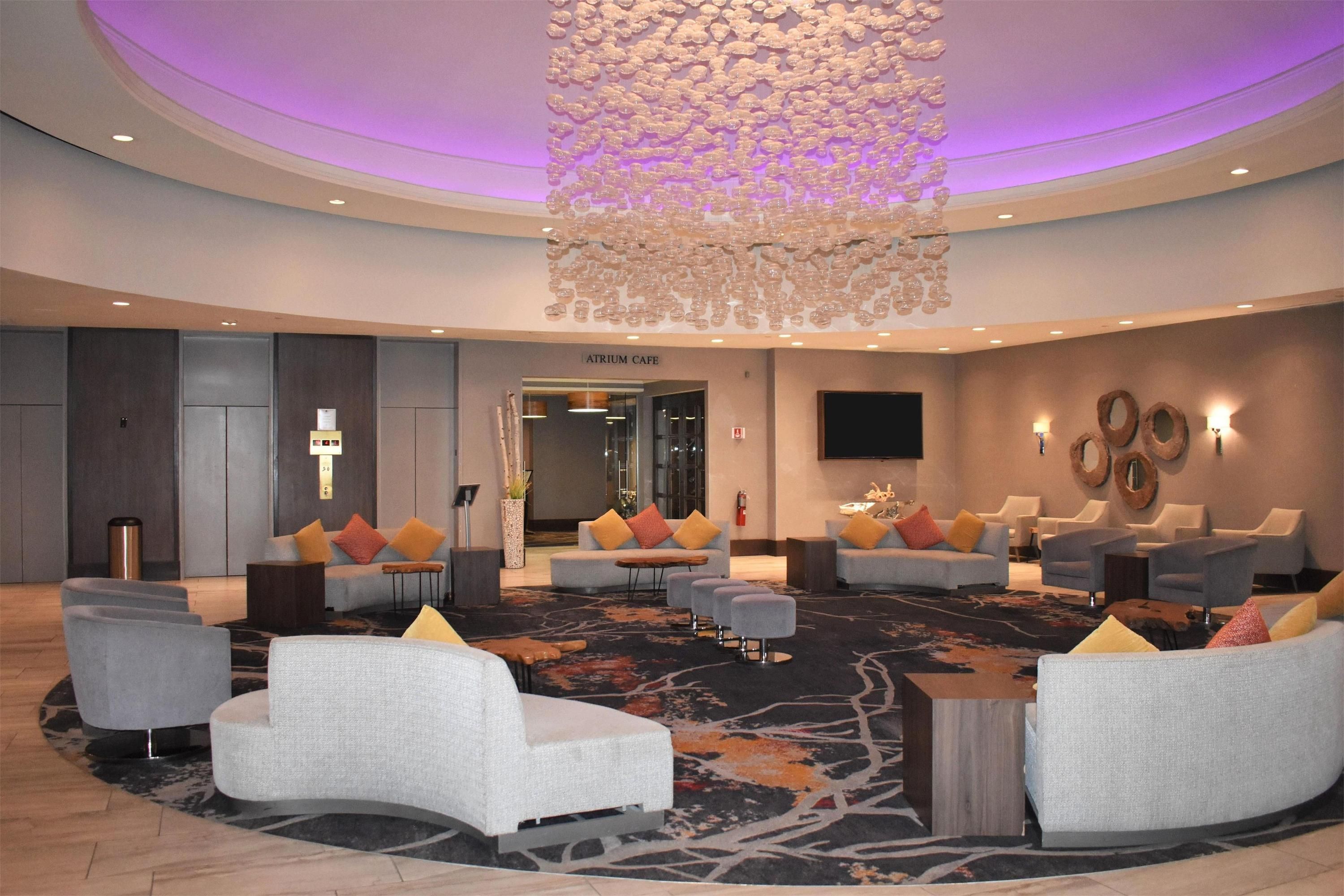 DoubleTree by Hilton Hotel Chicago - Oak Brook - Oak Brook - Area lounge