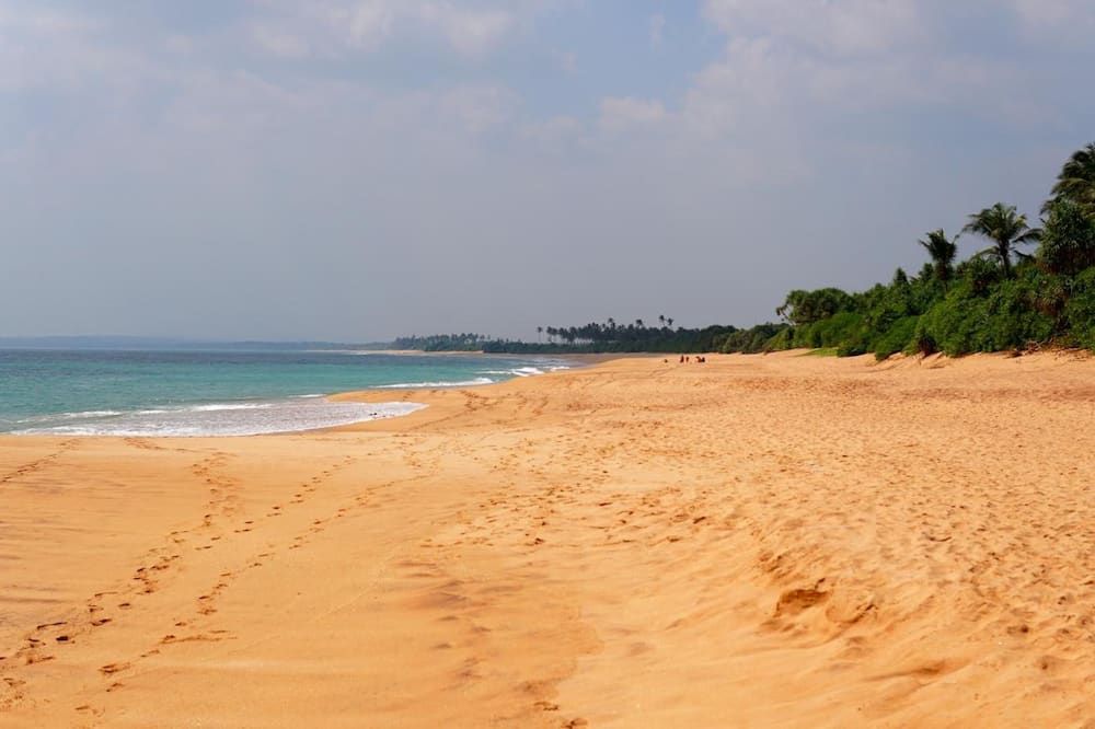 All View Resort - Tangalla - חוף