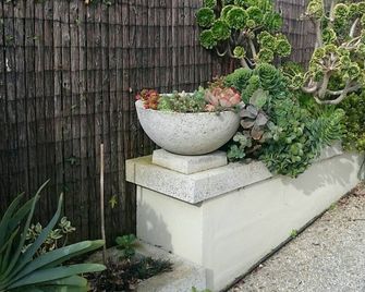 Topiary Haven - Launceston - Outdoors view