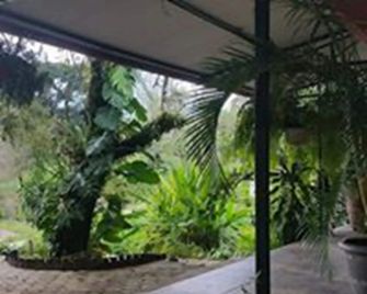 Los Susurros. Casa - Palenque