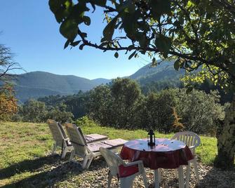 Chambre d'hôte Lavande - Le soleil des Cévennes - Saint-Jean-du-Gard - Patio
